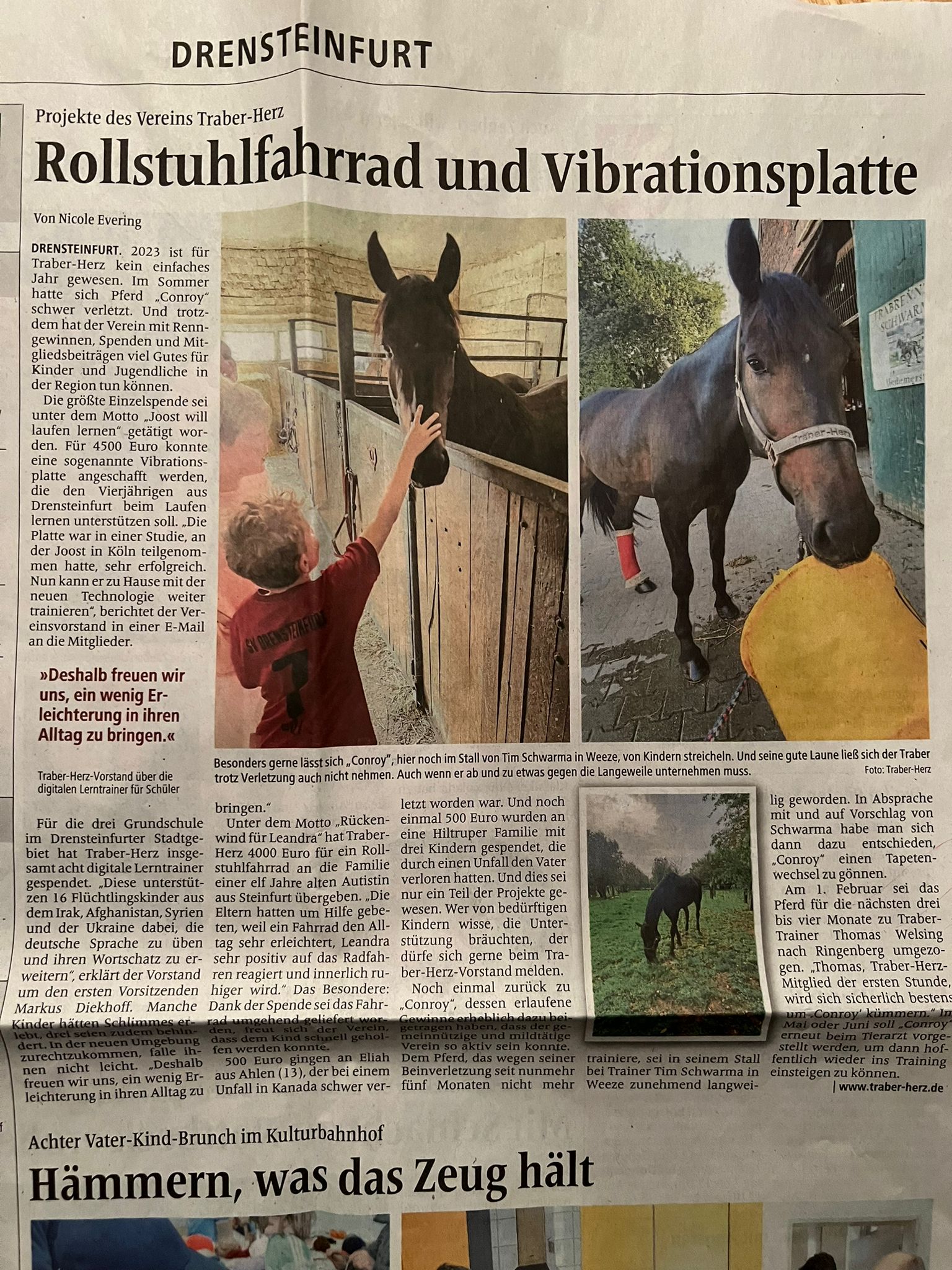 Rollstuhlfahrrad und Vibrationsplatte